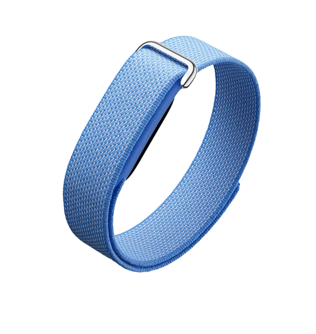 Google Fitbit Air
